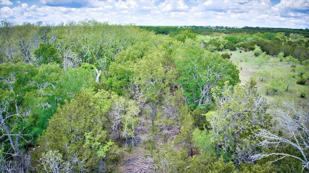 4220 County Road 202 Burnet, TX 78611
