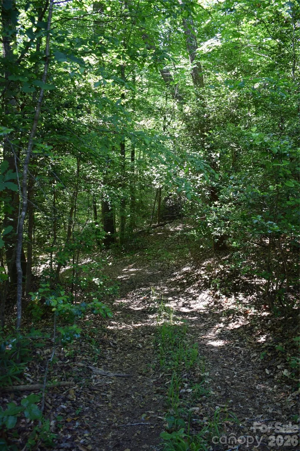 0 Floyd Blackwell Road Tryon, NC 28722