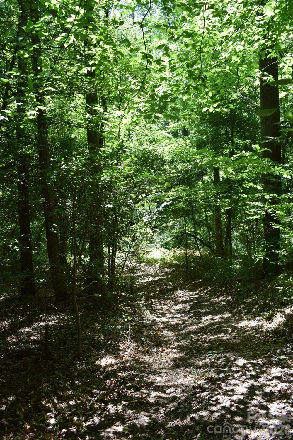 0 Floyd Blackwell Road Tryon, NC 28722