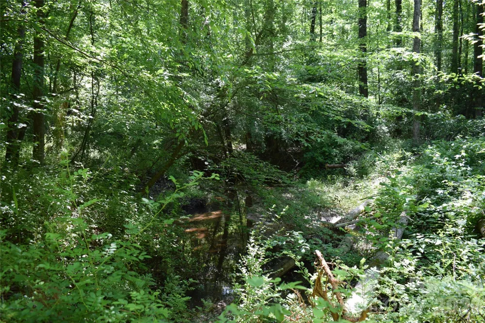 0 Floyd Blackwell Road Tryon, NC 28722