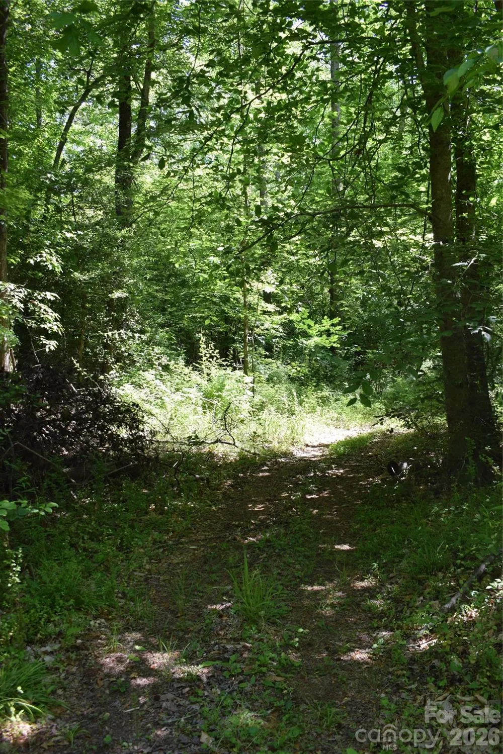 0 Floyd Blackwell Road Tryon, NC 28722
