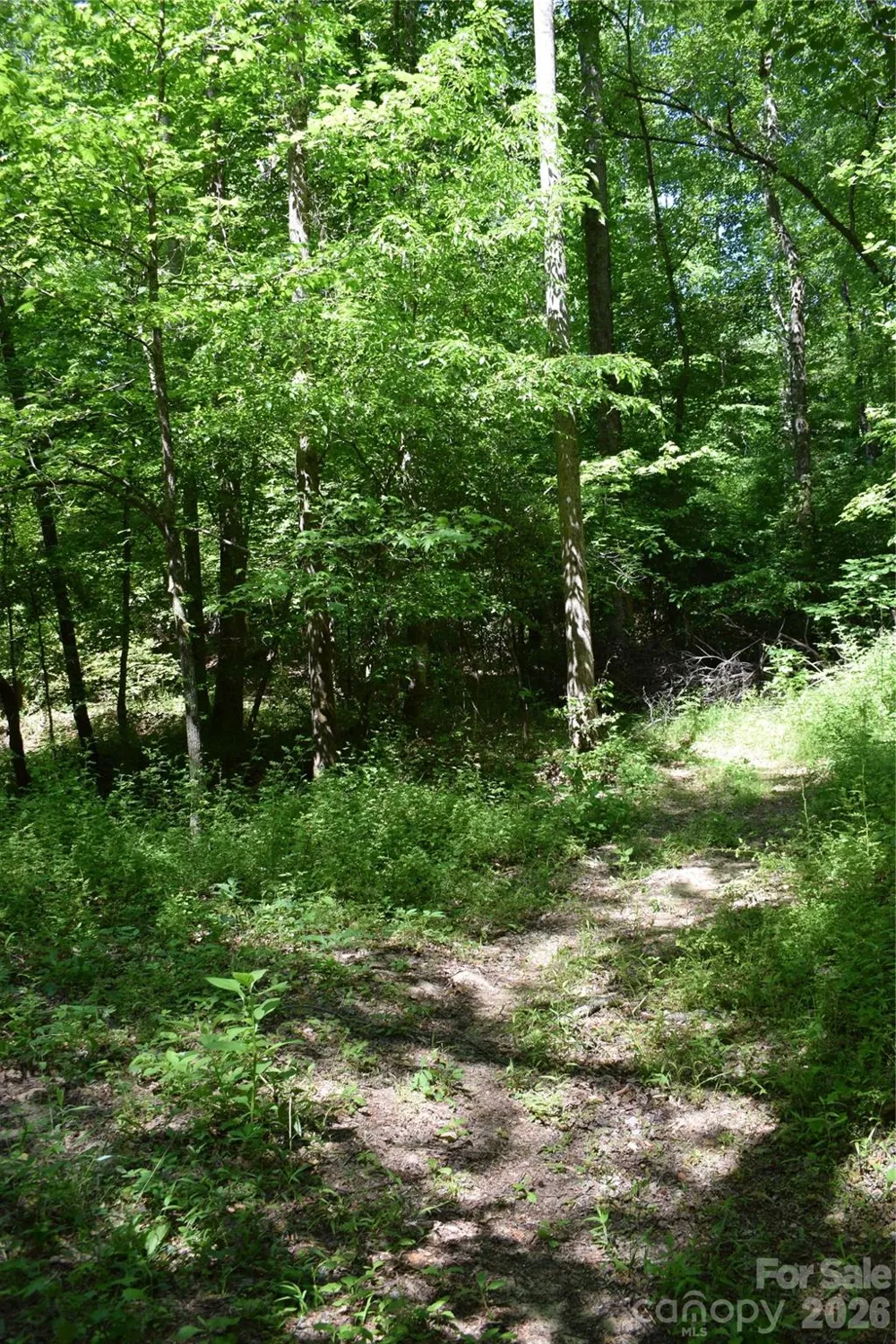 0 Floyd Blackwell Road Tryon, NC 28722