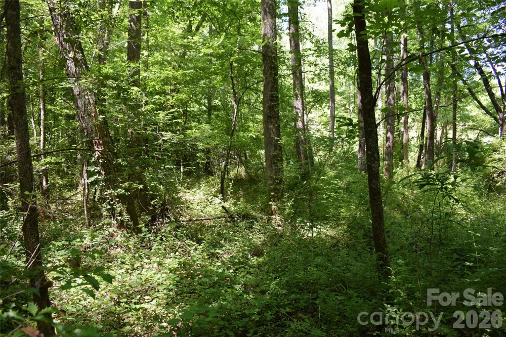 0 Floyd Blackwell Road Tryon, NC 28722