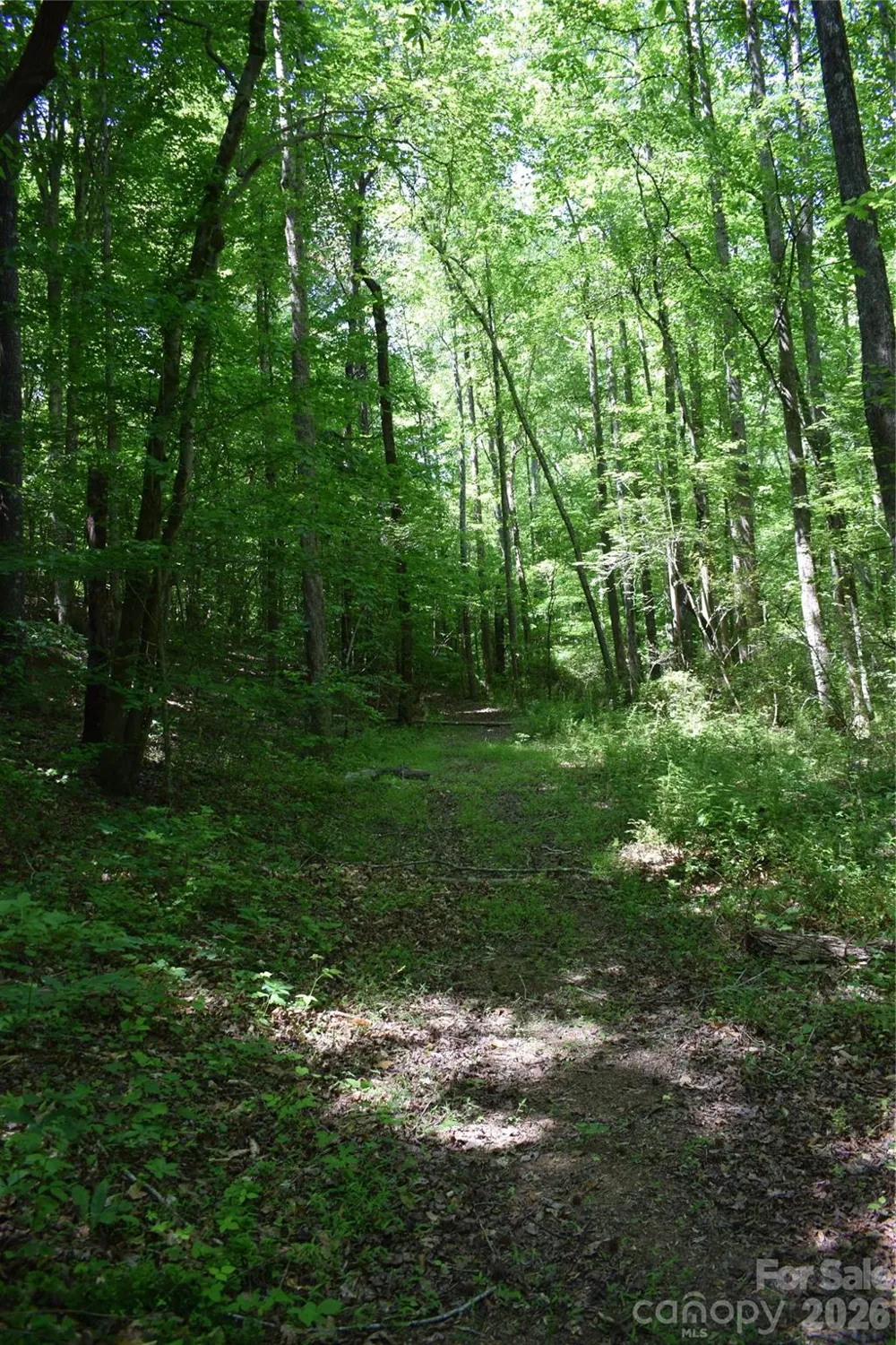 0 Floyd Blackwell Road Tryon, NC 28722