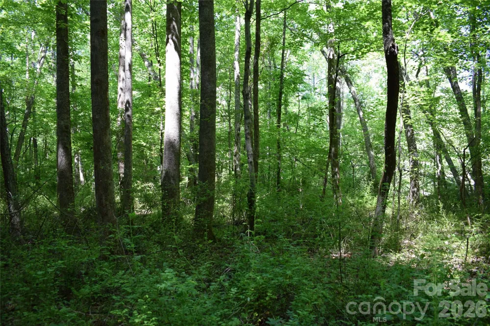 0 Floyd Blackwell Road Tryon, NC 28722