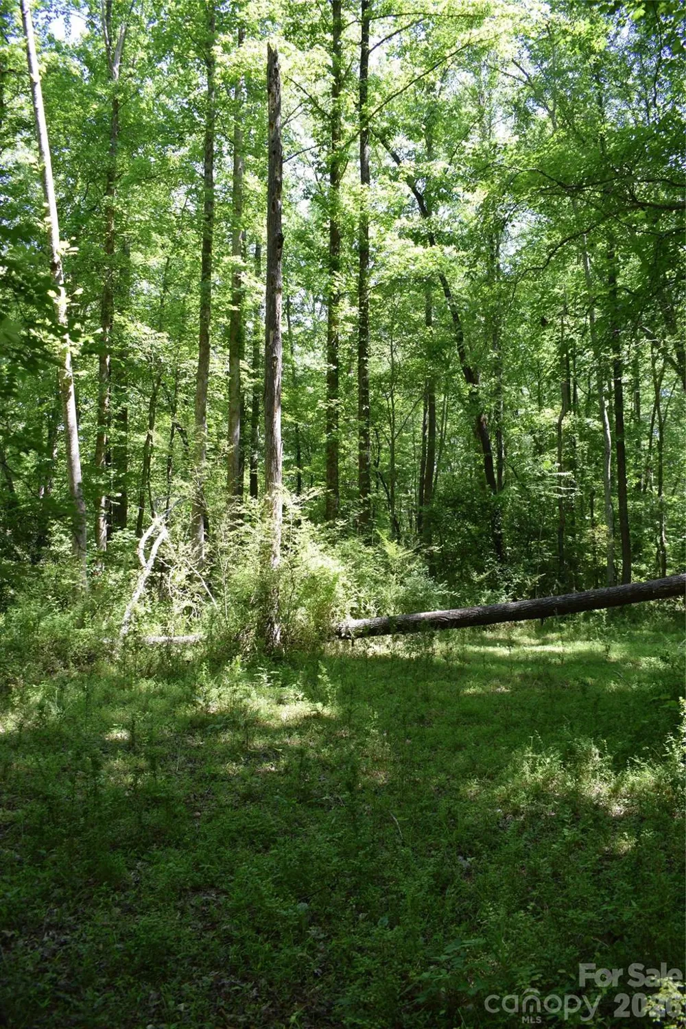 0 Floyd Blackwell Road Tryon, NC 28722