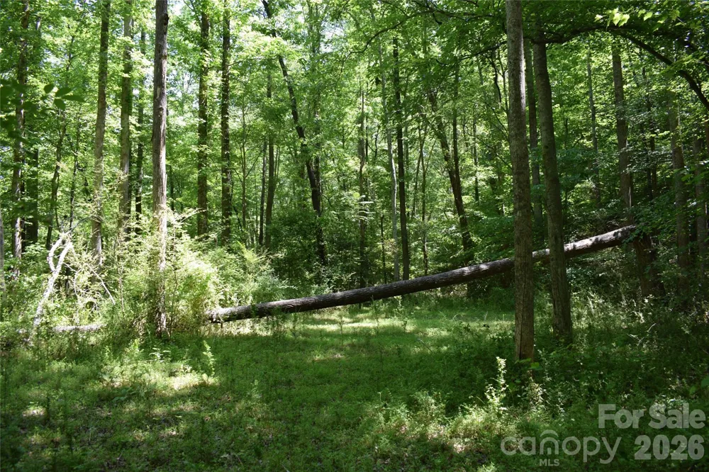 0 Floyd Blackwell Road Tryon, NC 28722