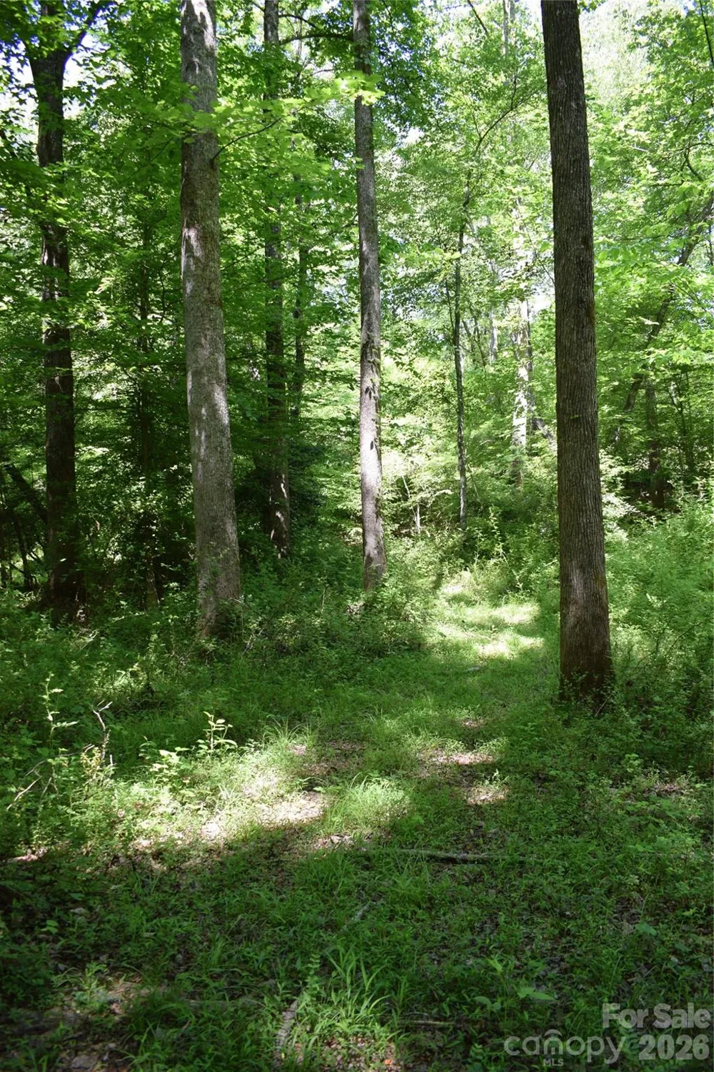 0 Floyd Blackwell Road Tryon, NC 28722