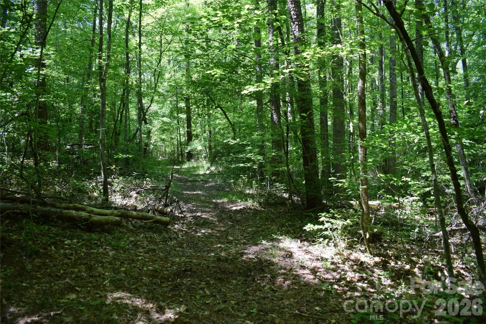 0 Floyd Blackwell Road Tryon, NC 28722