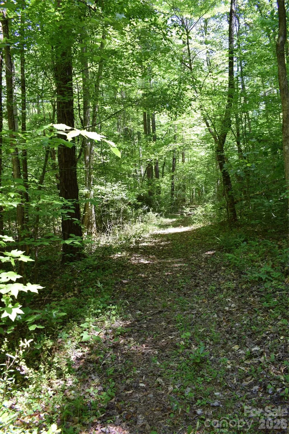 0 Floyd Blackwell Road Tryon, NC 28722