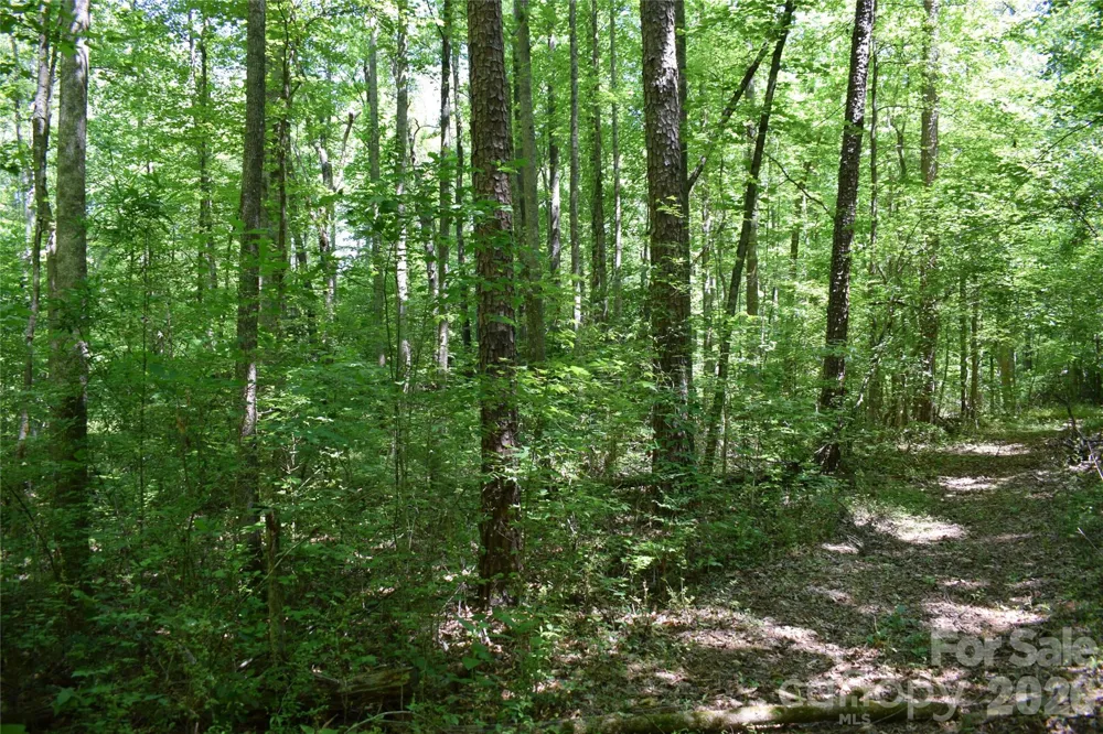 0 Floyd Blackwell Road Tryon, NC 28722