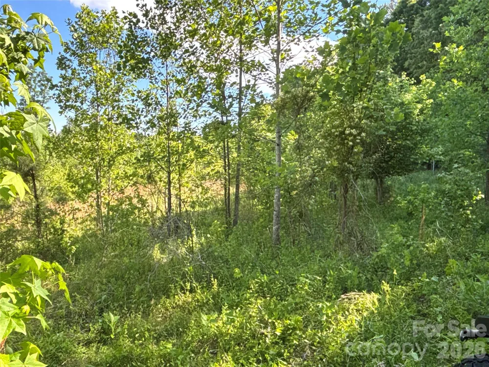 670 Talley Street Troutman, NC 28166