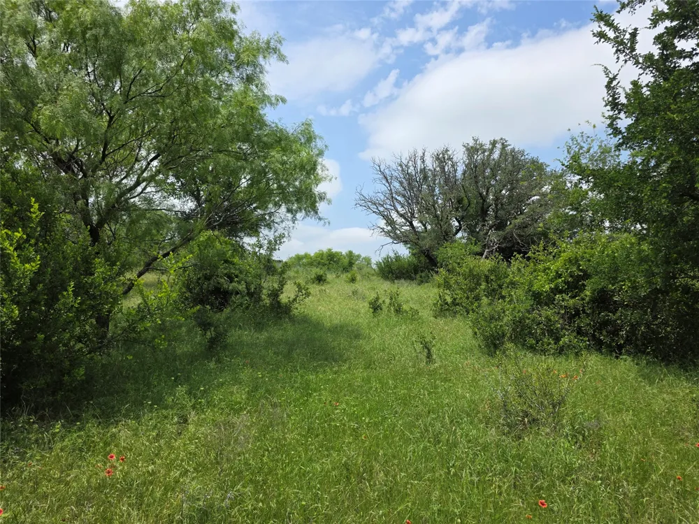 601 County Road 136 Comanche, TX 76442