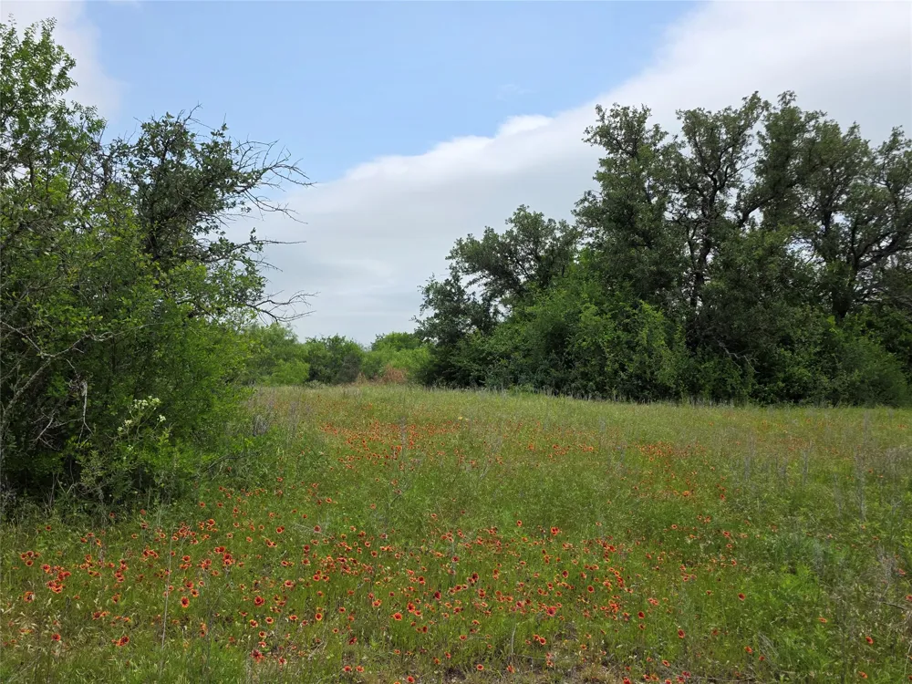 601 County Road 136 Comanche, TX 76442