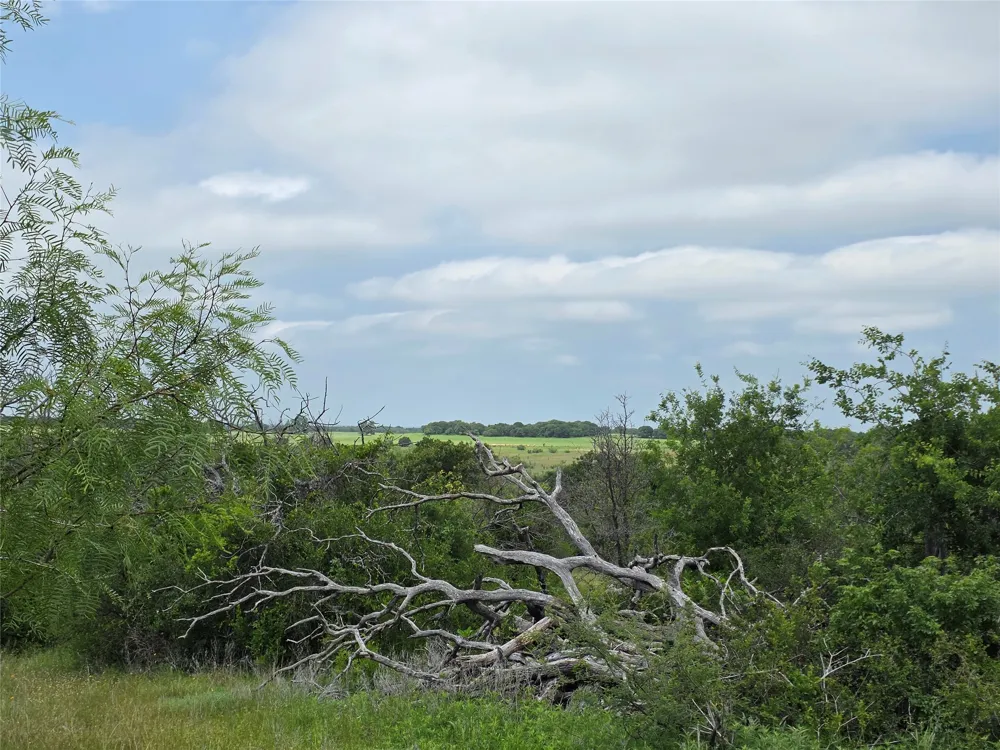 601 County Road 136 Comanche, TX 76442