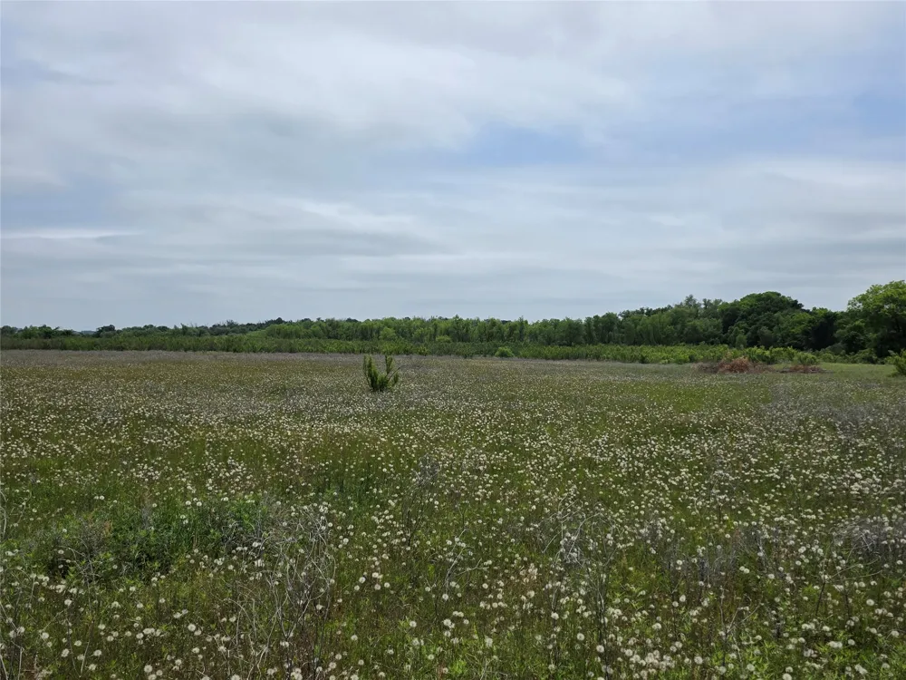601 County Road 136 Comanche, TX 76442