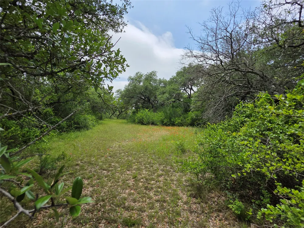 601 County Road 136 Comanche, TX 76442