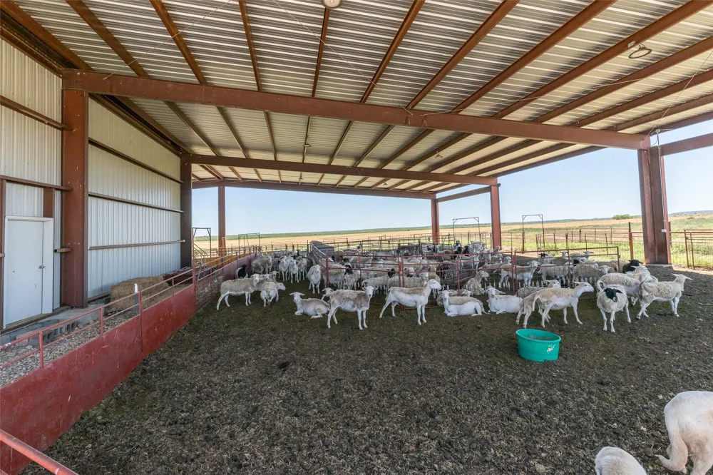 3333 FM 382 Lawn, TX 79530