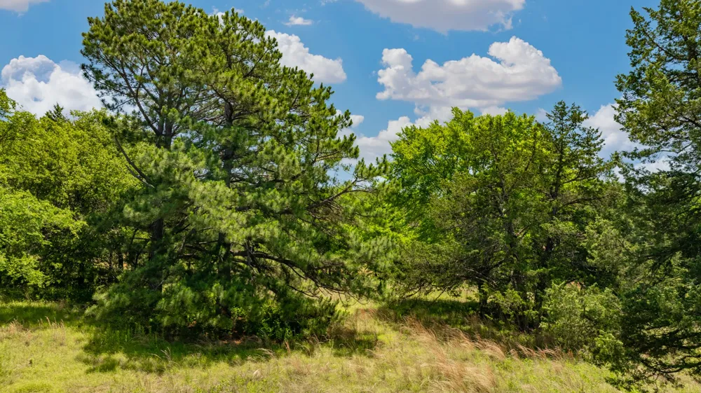 8646 S Highway 82 Gainesville, TX 76240