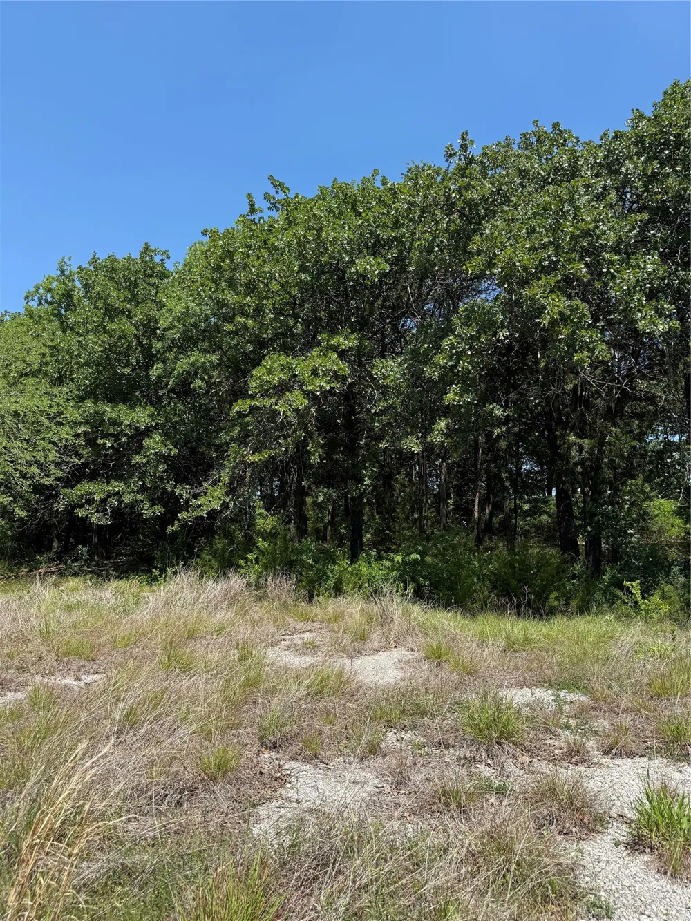8646 S Highway 82 Gainesville, TX 76240