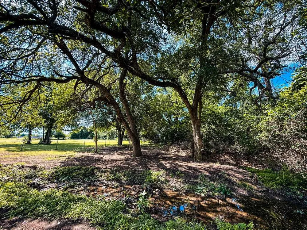 1708 S Wall Street Belton, TX 76513