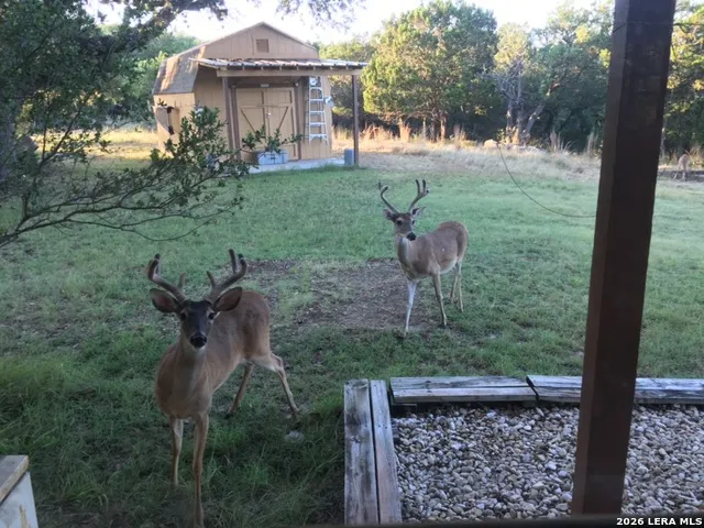 1081 Summit Lakehills, TX 78063