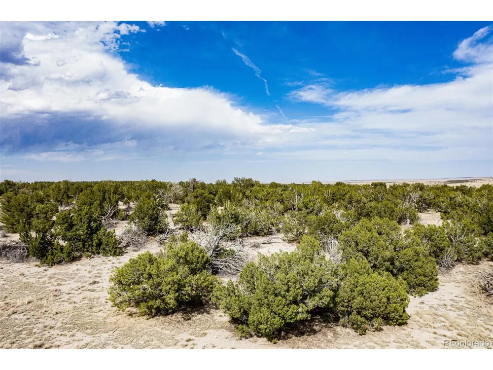 241 Morning Star Road Rye, CO 81069