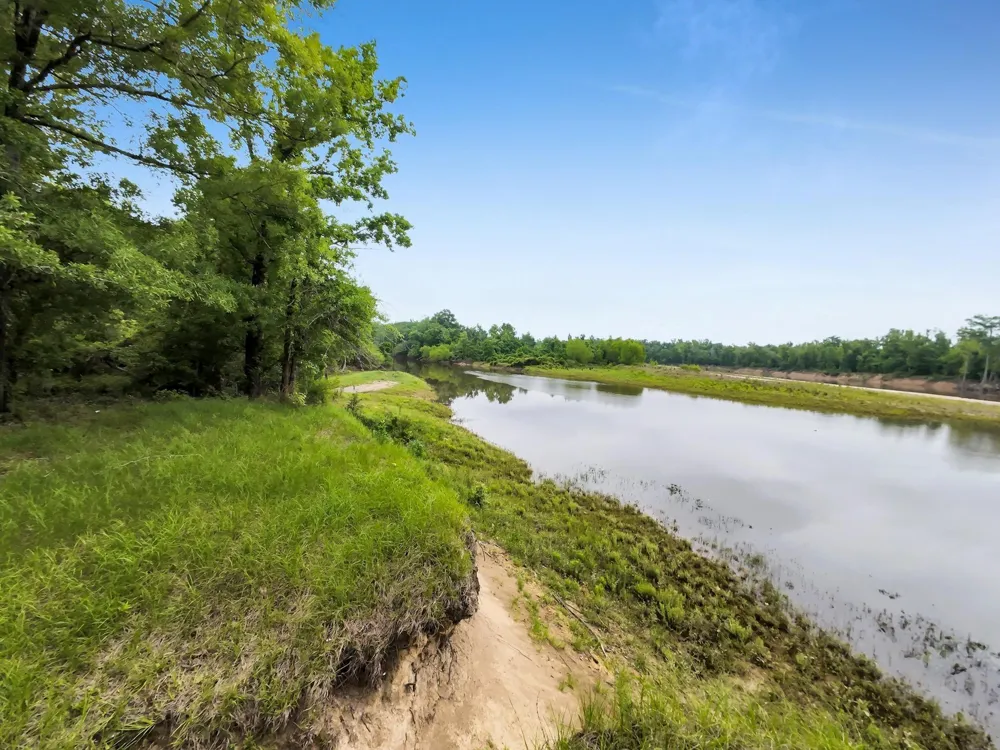 360 Cr 4116 Call, TX 75933