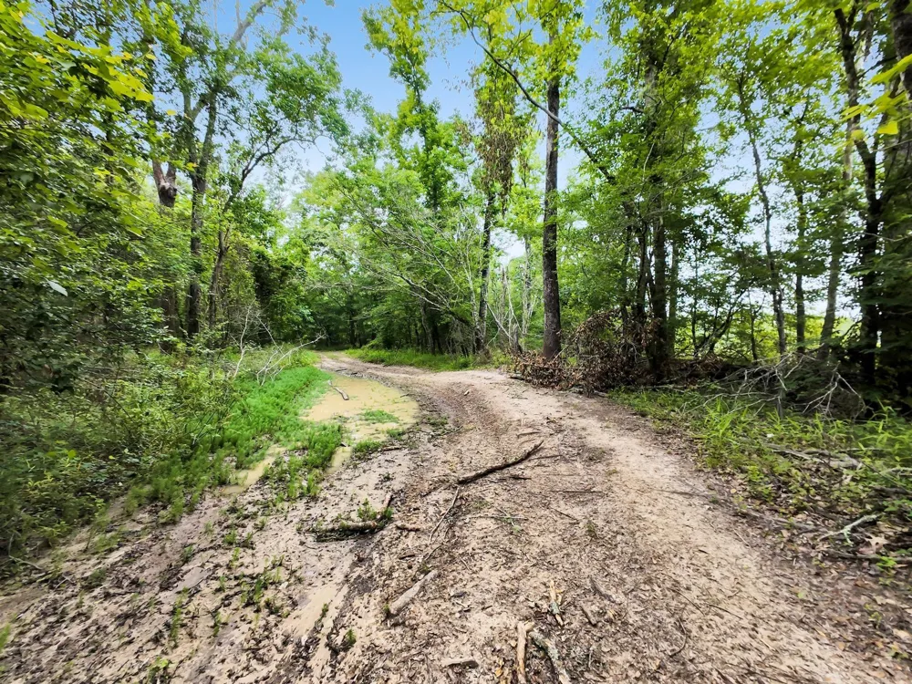 360 Cr 4116 Call, TX 75933