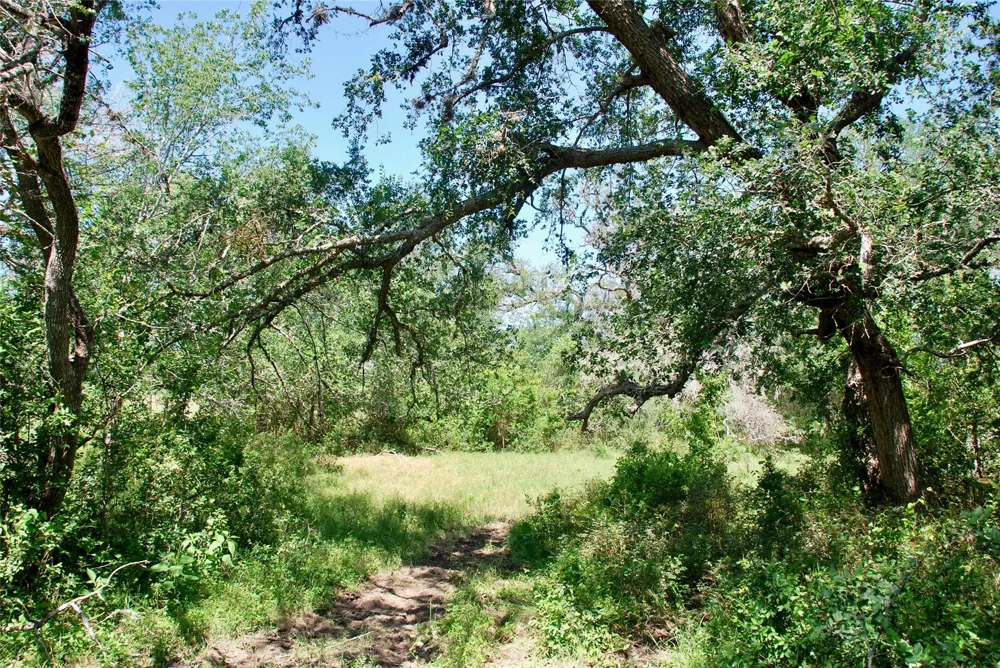 1049 Muehr Road Weimar, TX 78962