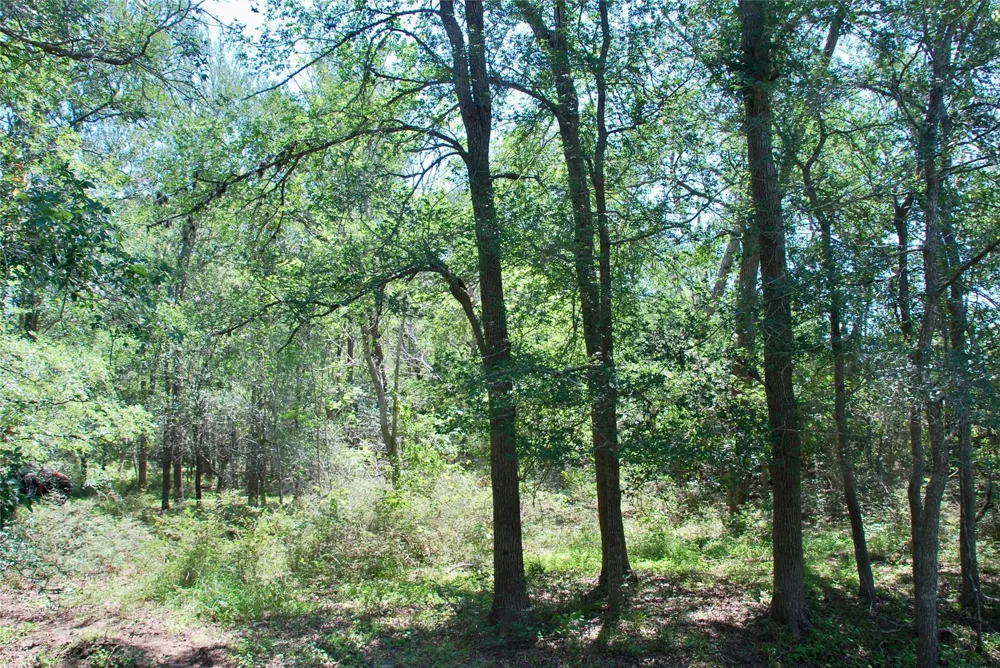 1049 Muehr Road Weimar, TX 78962
