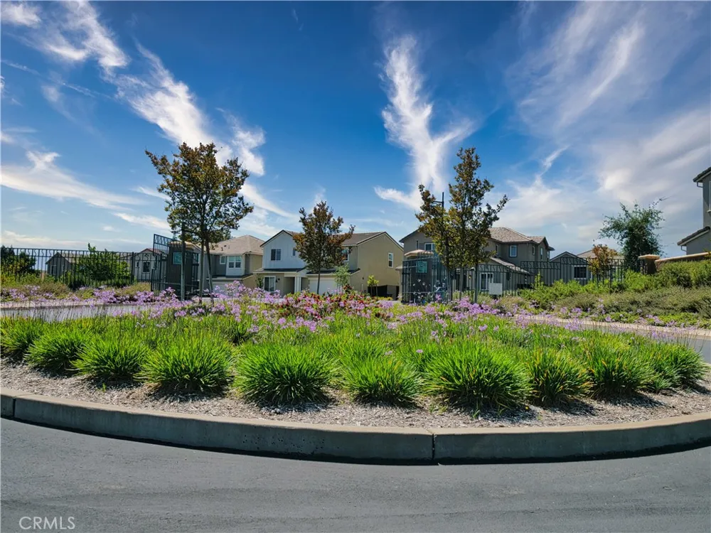 1247 Senegal El Dorado Hills, CA 95762