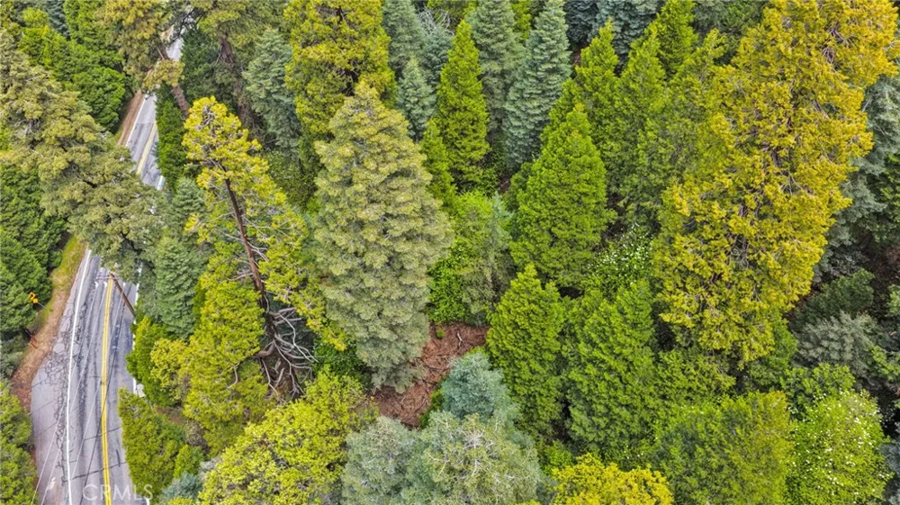1 Skyforest Lake Arrowhead, CA 92385