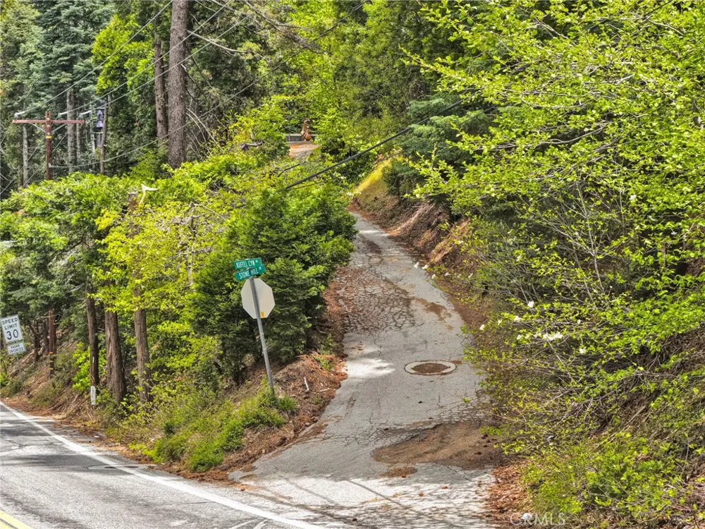 1 Skyforest Lake Arrowhead, CA 92385