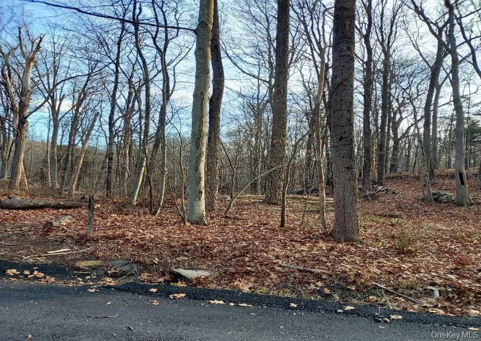 Laurie Lane South Salem, NY 10590