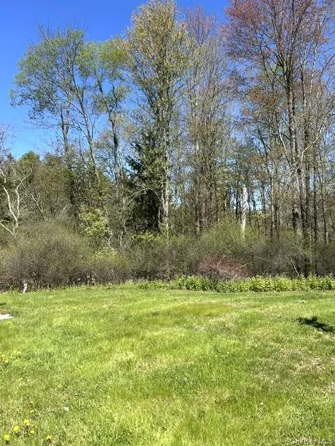 3226 State Route 52 White Sulphur Spring, NY 12787