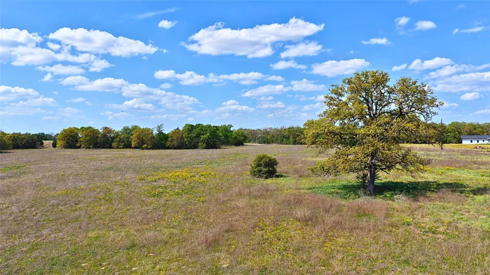 Legacy Road (5.41 Acres) Caldwell, TX 77836