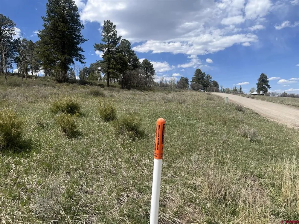 Aspen Drive Ridgway, CO 81432