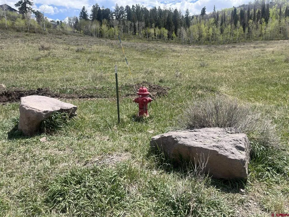 Aspen Drive Ridgway, CO 81432