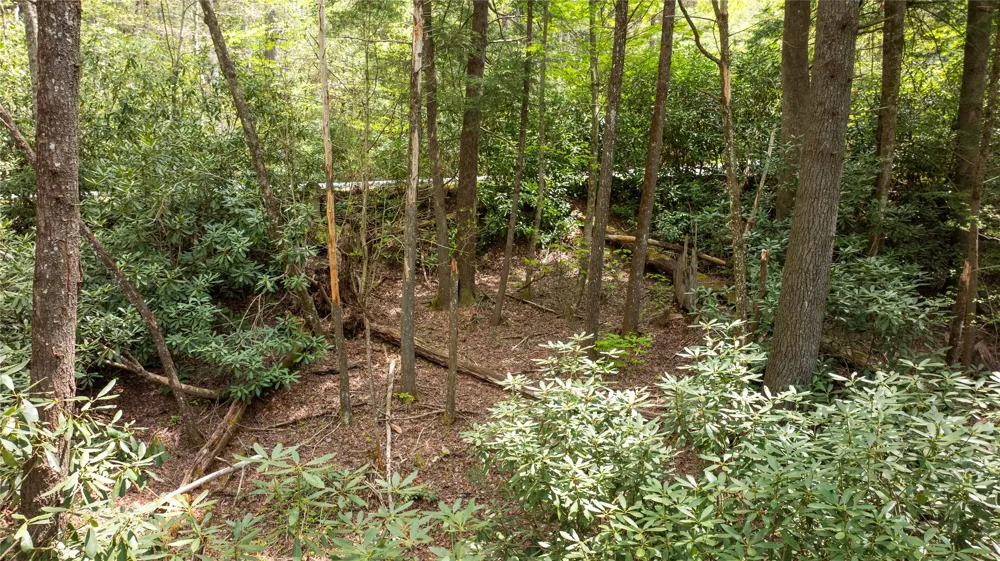 205 Hickory Drive Sapphire, NC 28774