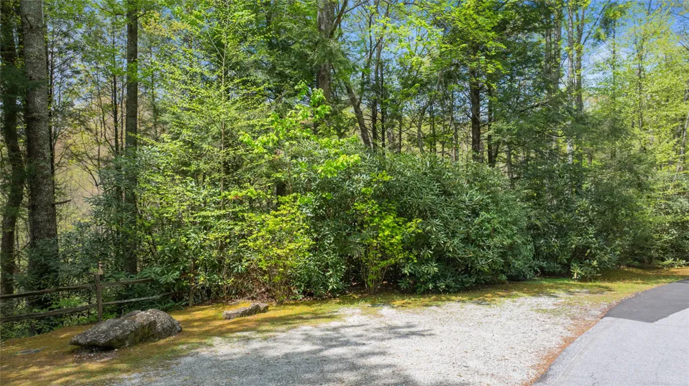 205 Hickory Drive Sapphire, NC 28774