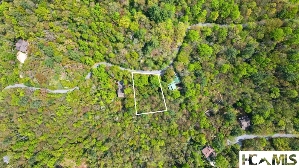 205 Hickory Drive Sapphire, NC 28774