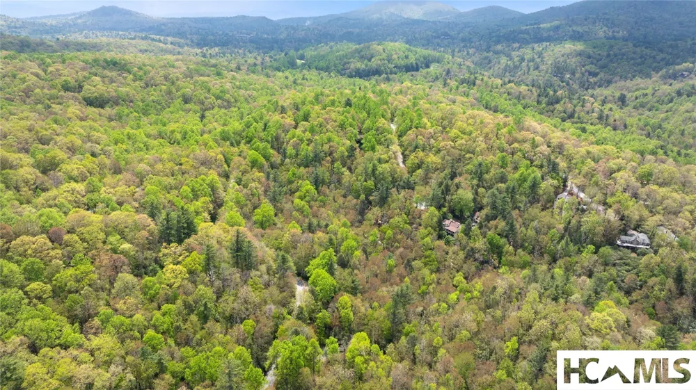 205 Hickory Drive Sapphire, NC 28774