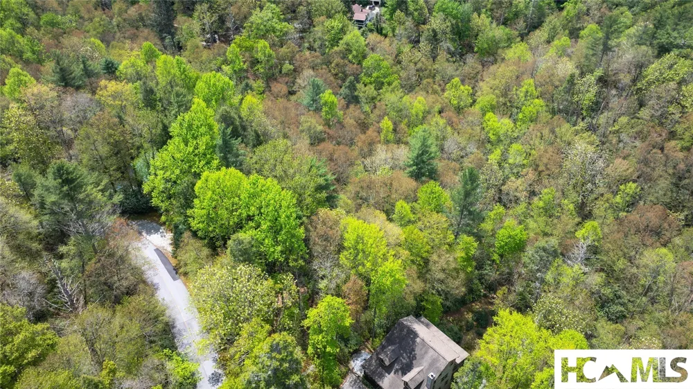 205 Hickory Drive Sapphire, NC 28774