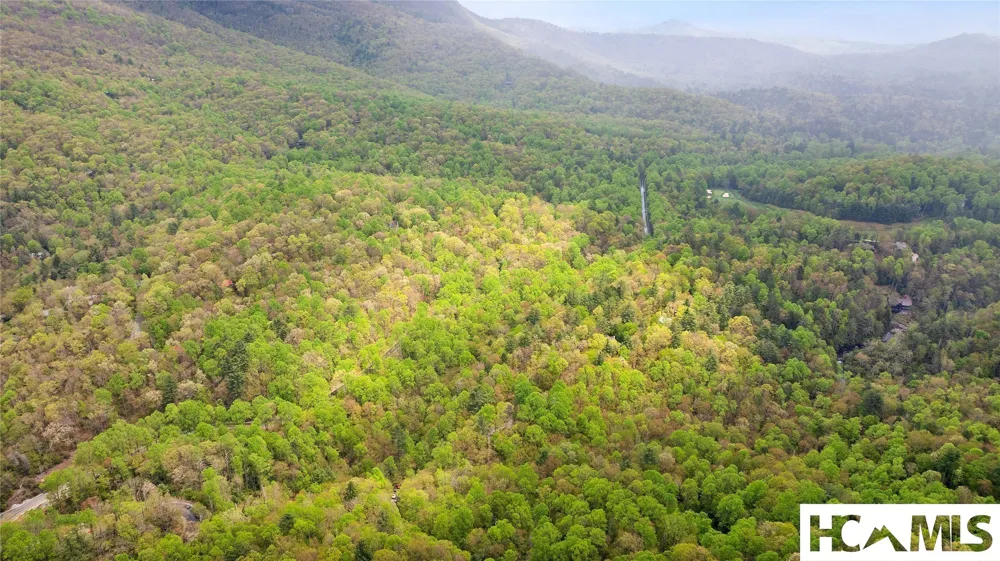 205 Hickory Drive Sapphire, NC 28774