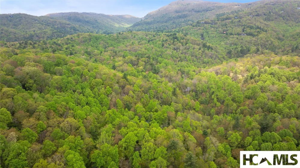 205 Hickory Drive Sapphire, NC 28774