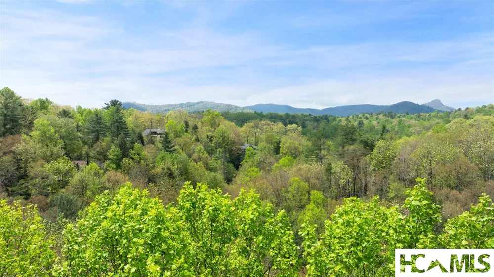 205 Hickory Drive Sapphire, NC 28774