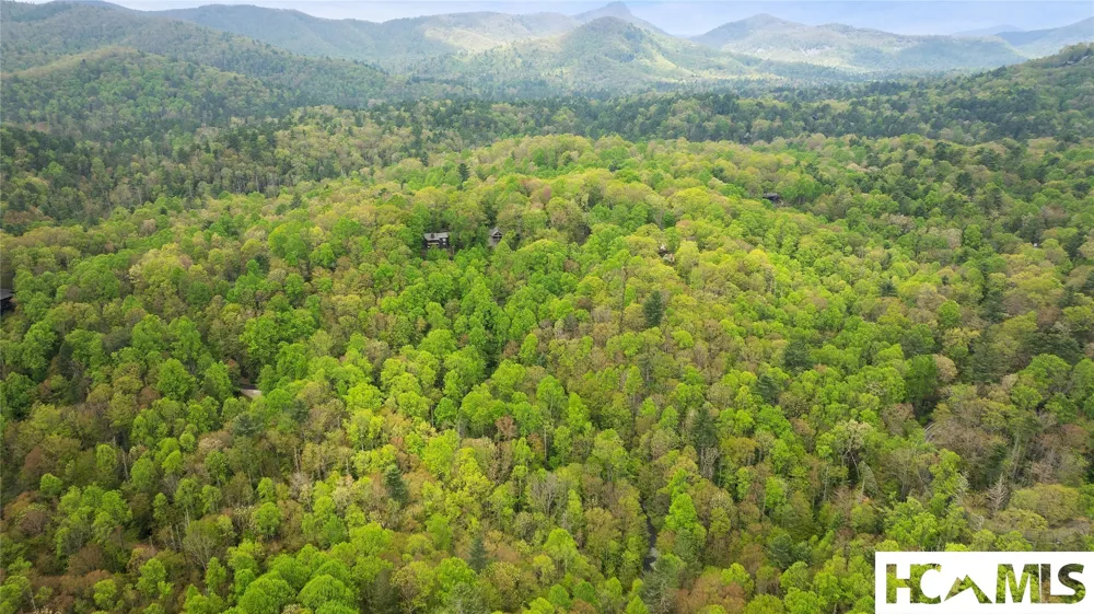 205 Hickory Drive Sapphire, NC 28774