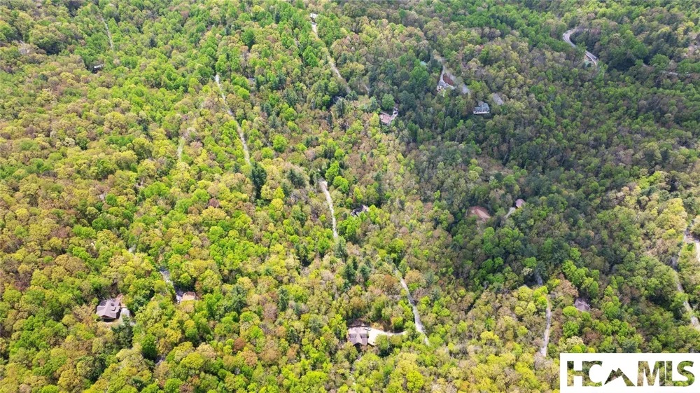 205 Hickory Drive Sapphire, NC 28774