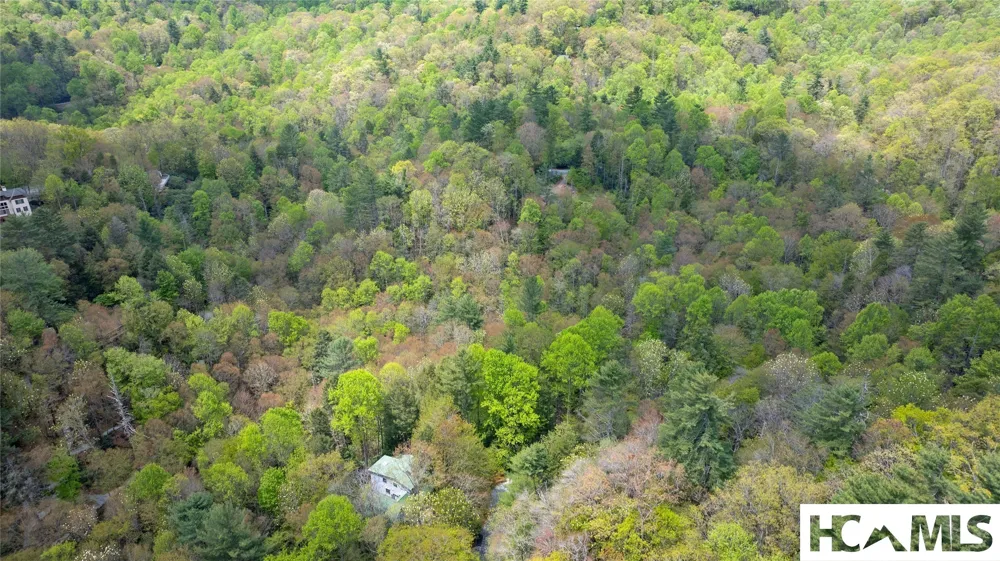 205 Hickory Drive Sapphire, NC 28774